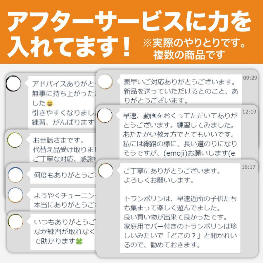 ウクレレ 初心者 ソプラノ セット 21インチ 12週間動画講座つき