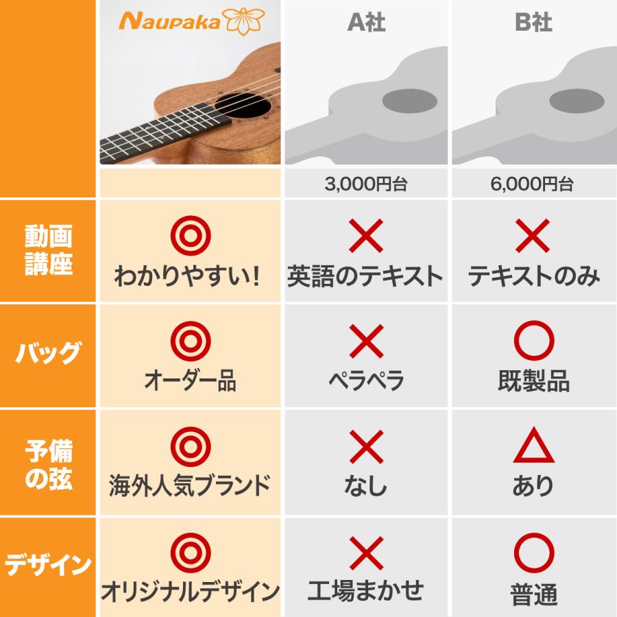 ウクレレ 初心者 ソプラノ セット 21インチ 12週間動画講座つき
