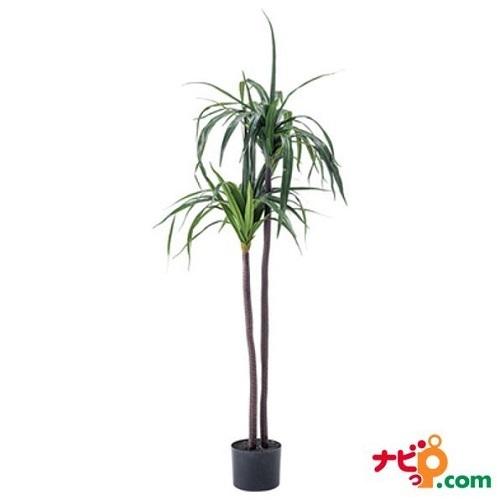 フェイクグリーン ドラセナ Grn 15 おしゃれ インテリア グリーン ディスプレイ リラックス 人工植物 人工観葉植物 東谷 緑 自然 装飾 造花 飾り 最大92 Offクーポン 東谷