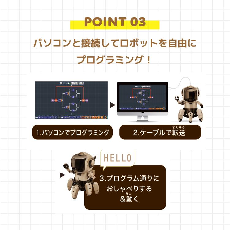 国内正規品】プログラミング・フォロ スピーク for CHROME MR-9123