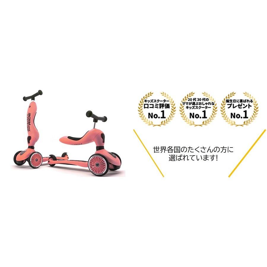 スクートアンドライド ハイウェイキック1 アイスクリームカラー SCOOT AND RIDE Highway Kick1 Ice cream color ブルーベリー 157079 スクート&ライド |  | 06