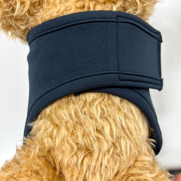 PROMO THERMO BACK's プロモサーモバックス ブラックシリカ for Pets S