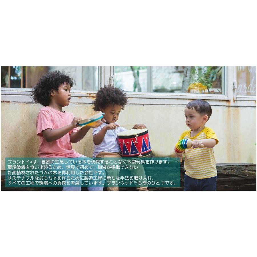 プラントイ PLANTOYS ソート&カウントカップ 5360 木のおもちゃ 知育