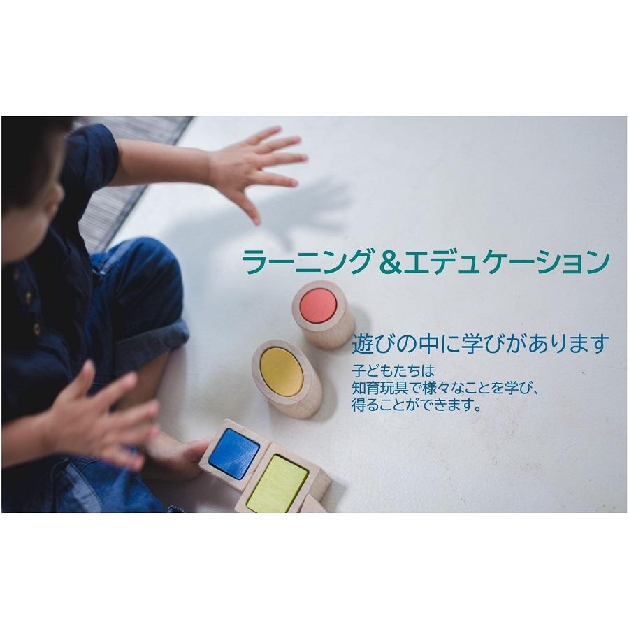 プラントイ PLANTOYS ソート&カウントカップ 5360 木のおもちゃ 知育