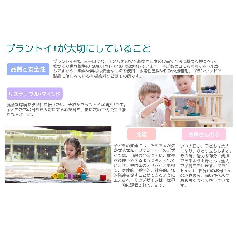 プラントイ（PLANTOYS） ウォーターブロック 5523 木のおもちゃ 知育
