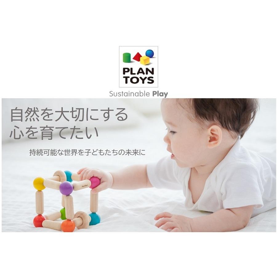 プラントイ（PLANTOYS） ウォーターブロック 5523 木のおもちゃ 知育
