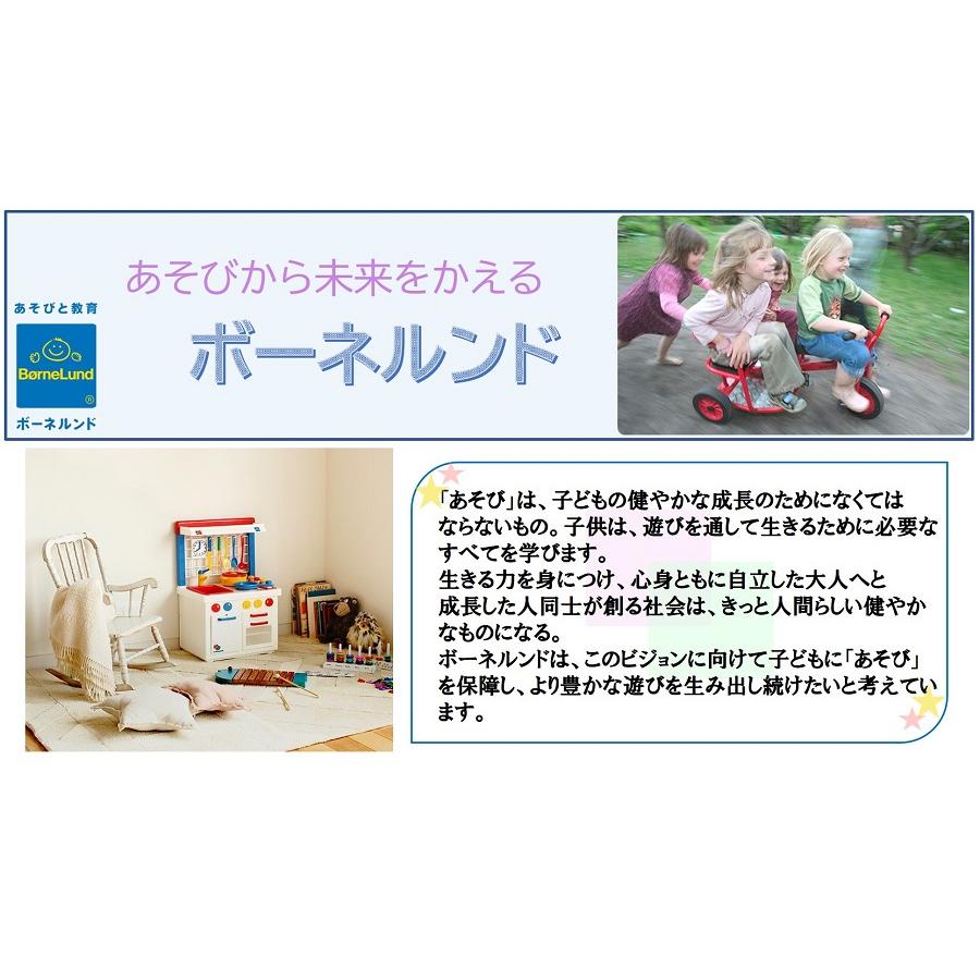ボーネルンド（Bornelund） ファンラーニング ねじねじアタマのなかま 
