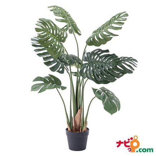 フェイクグリーン モンステラ 東谷 Grn 11 人工観葉植物 装飾 インテリア 人工植物 おしゃれ 造花 緑 自然 飾り ディスプレイ リラックス グリーン 代引不可 Grn 11 ナビッピドットコム オンライン 通販 Yahoo ショッピング