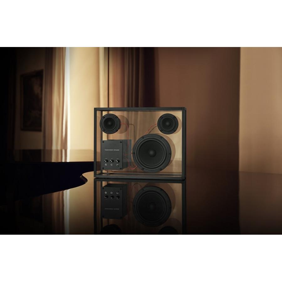 TRANSPARENT SPEAKER Black/Red TPS-01 【レッドコード