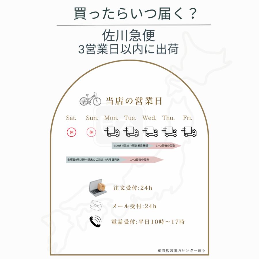SUISUI 27インチ折り畳み電動アシストN-DRO600 ビジネスモデル SUISUI 27インチ折り畳み電動アシストN-DRO600 ビジネスモデル