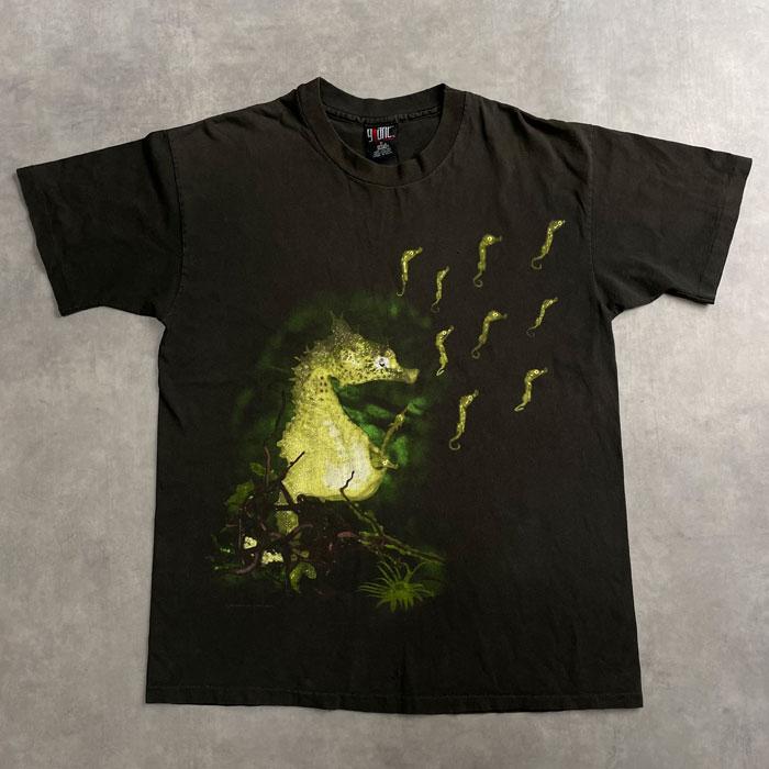 90's NIRVANA Seahorse T-Shirt Made in USA/XL 90年代 ニルヴァーナ