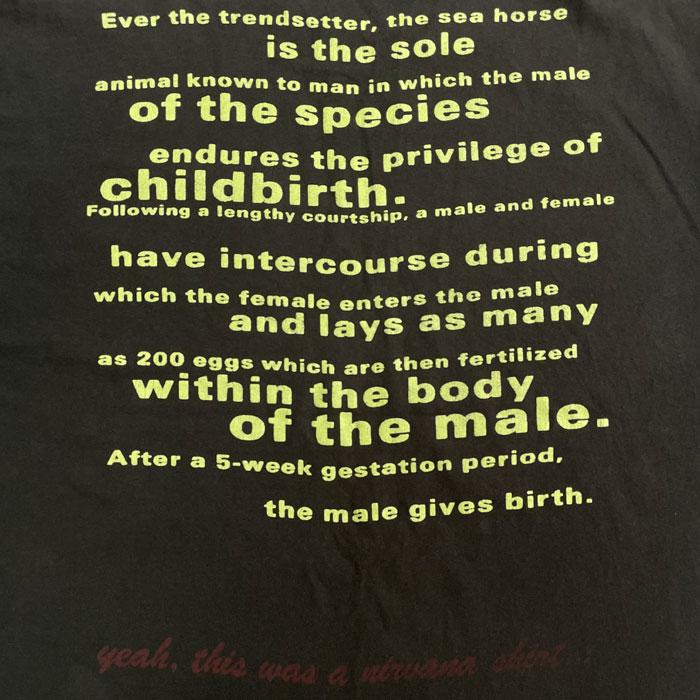90's NIRVANA Seahorse T-Shirt Made in USA/XL 90年代 ニルヴァーナ