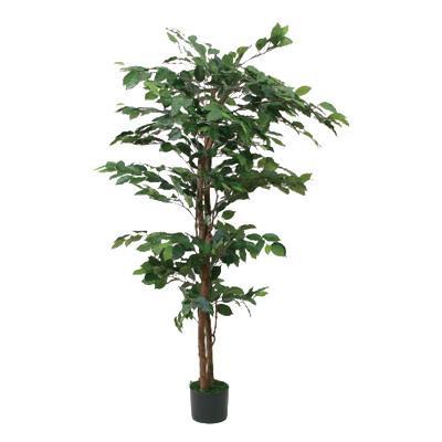 Seal限定商品 観葉植物 造花 インテリア フェイクグリーン おしゃれ 人工 プレゼント お祝い ギフト 日陰 高級 アンティーク 北欧 大きい 大型 室内 玄関 ベンジャミン 木 激安の Www Maxipiso Com Ar