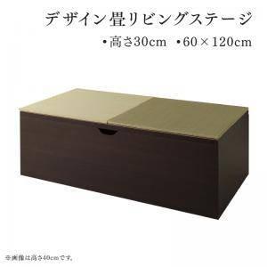 畳ボックス ユニット 収納 スツール 椅子 ベンチ おしゃれ 長椅子 ワイド 和風 和室 玄関 (畳ボックス 60×120 ロー)