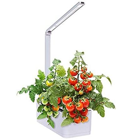 【12月スーパーSALE 15％OFF】 Hydroponic Design Mindful 送料無料 Indoor Deskto LED Multispectrum - Kit Garden Herb ガーデンフェンス