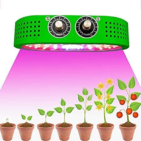送料無料 COB LED Grow Light for Indoor Plants, Lune 1100W Full Spectrum LED Plant La