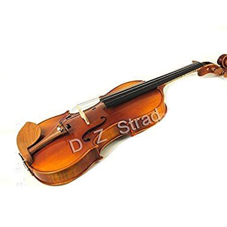 肌触りがいい 送料無料 D Z Strad Model 220 3 4 Violin With Dominant Strings Bow Case Rosin And 正規激安 Feltfetish Com