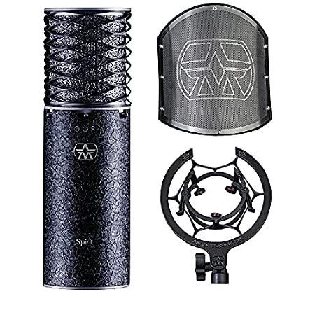 正規品が格安入手 Aston Microphones アストンマイクロフォンズ/Aston