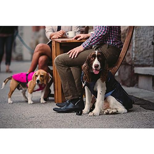 匿名配送 ペット用4階建てオールインワンキャットアクティビティタワー 「カーマ・カムラ」 %Fuchsia/Grey 【UOI1137148773】(40761円)