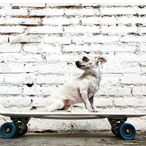 リッジスケートボード男女共用ダークニッケルクルーザーグロー/クリアブルー27インチ リッジスケートボード男女共用ダークニッケルクルーザーグロー/クリアブルー27インチ