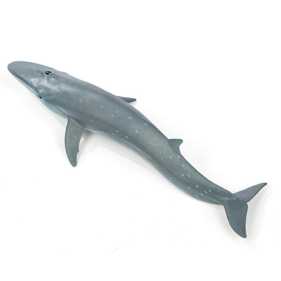 サファリ イワシクジラ フィギュア 100098 : サファリフィギュア専門店