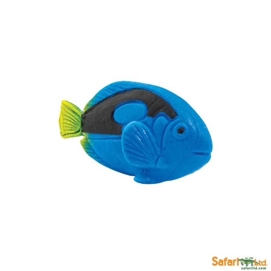サファリ ミニ フィギュア ナンヨウハギ 12p 熱帯魚 魚 レプリカ サファリフィギュア専門店 Navys 通販 Yahoo ショッピング