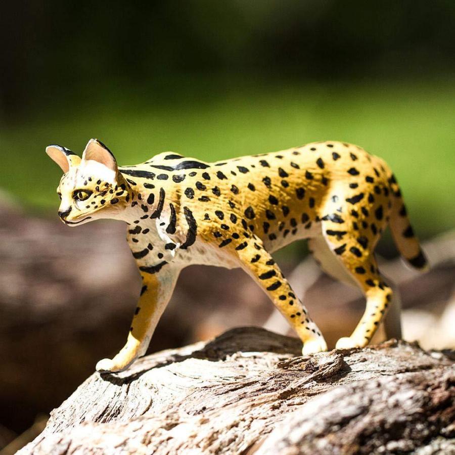 サファリ サーバルキャット 動物 フィギュア サファリフィギュア専門店 Navys 通販 Yahoo ショッピング