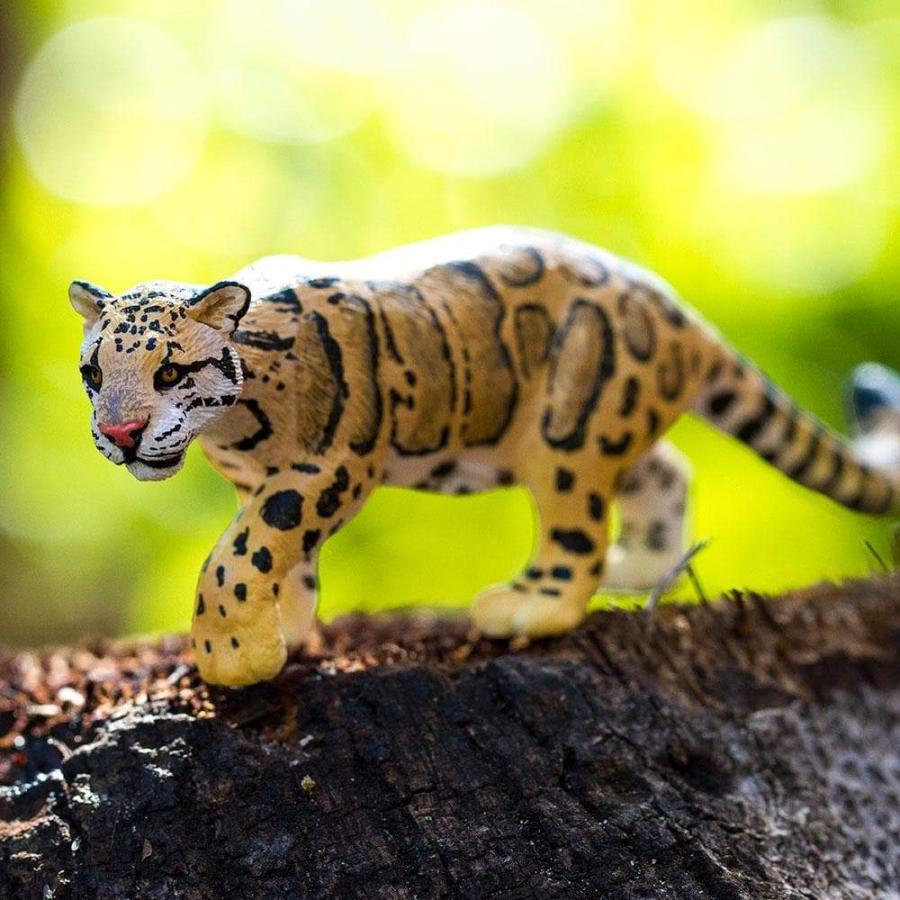 サファリ Safari ウンピョウ 動物 フィギュア 100239 : サファリ