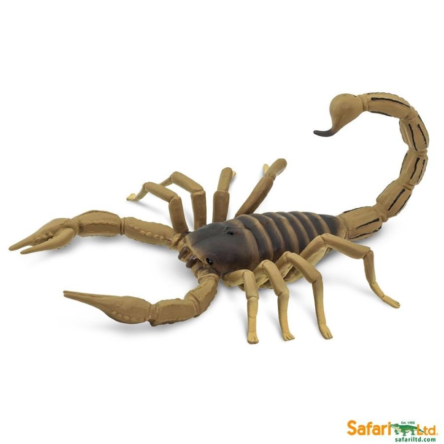 サファリ サソリ フィギュア XL タイプII 100260 : サファリフィギュア
