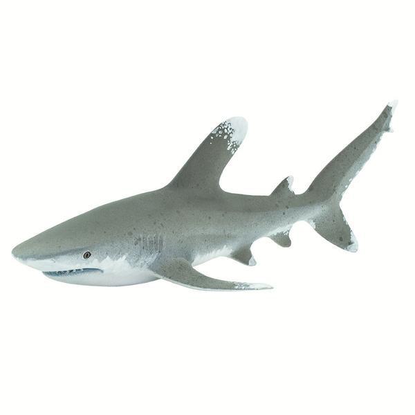 サファリ　ヨゴレザメ　サメ　フィギュア　100271
