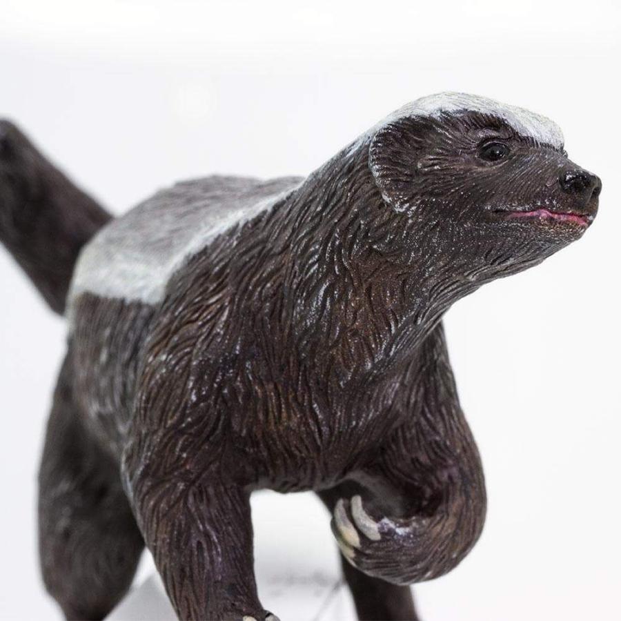 サファリ ラーテル 動物 フィギュア サファリフィギュア専門店 Navys 通販 Yahoo ショッピング