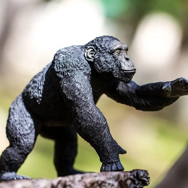 シュライヒ　チンパンジー　キーホルダー　動物フィギュア Amazon.co.jp: シュライヒ ワイルドライフ チンパンジー(オス