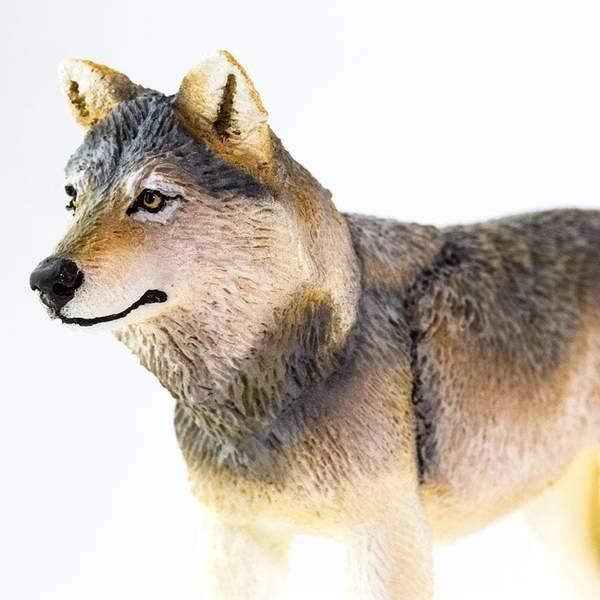 サファリ タイリクオオカミ (グレーウルフ) II 動物 サファリ タイリクオオカミ (グレーウルフ) II 動物