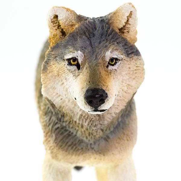 サファリ タイリクオオカミ (グレーウルフ) II 動物 サファリ タイリクオオカミ (グレーウルフ) II 動物