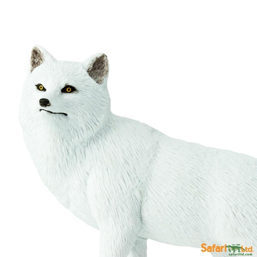 サファリ Ww ホッキョクギツネ 狐 フィギュア Xl 1134 1134 サファリフィギュア専門店 Navys 通販 Yahoo ショッピング
