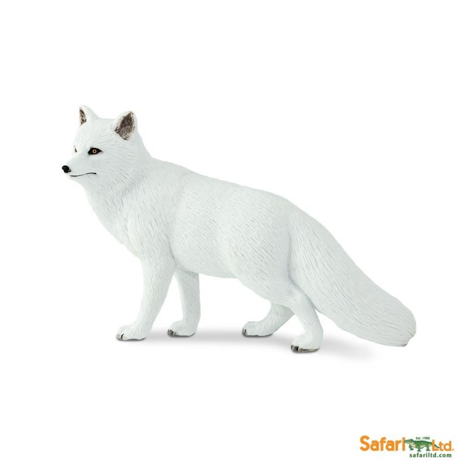 サファリ Ww ホッキョクギツネ 狐 フィギュア Xl 1134 1134 サファリフィギュア専門店 Navys 通販 Yahoo ショッピング