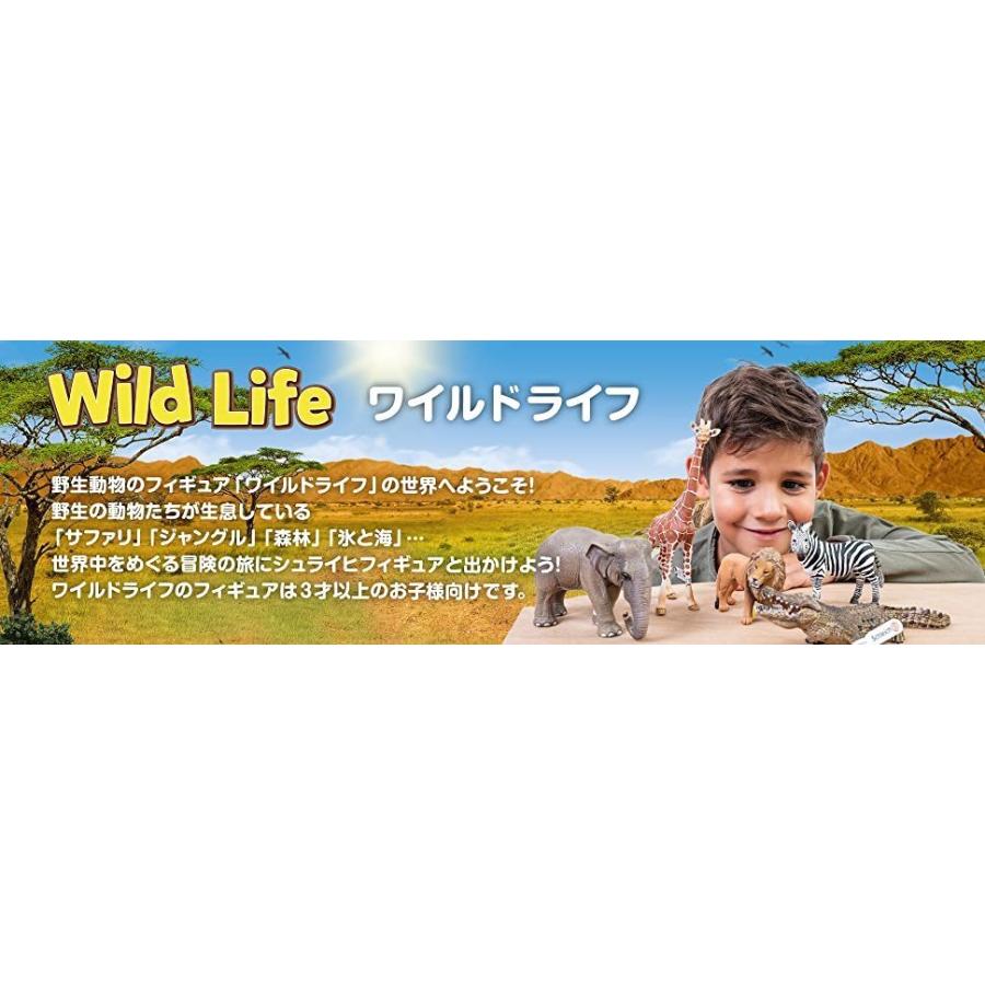 シュライヒ ヒグマの子ども 動物 フィギュア サファリフィギュア専門店 Navys 通販 Yahoo ショッピング