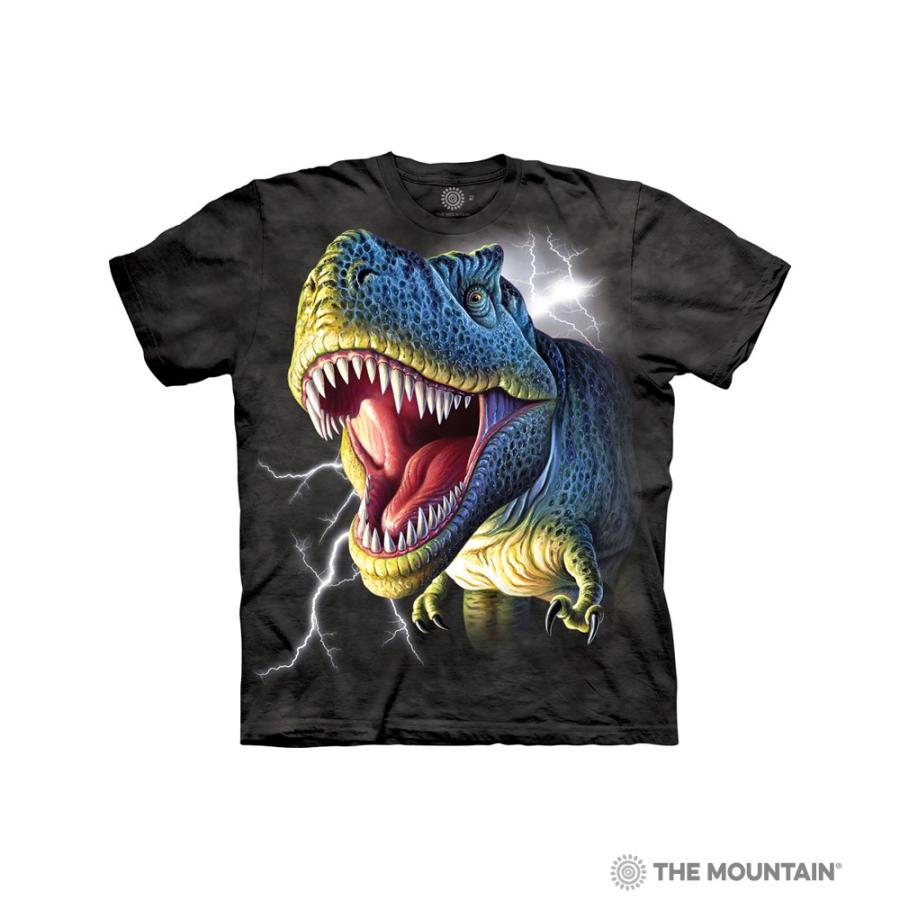 ザ マウンテン 恐竜 Tシャツ ライトニング レックス 子供用 キッズ アニマル プリント 15 3102 サファリフィギュア専門店 Navys 通販 Yahoo ショッピング