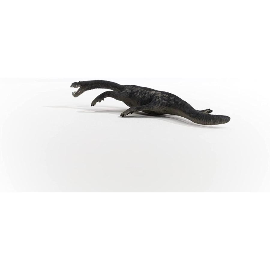 【なかのん】恐竜と海生爬虫類のフィギュアセット なかのん様専用】恐竜と海生爬虫類のフィギュアセット - メルカリ