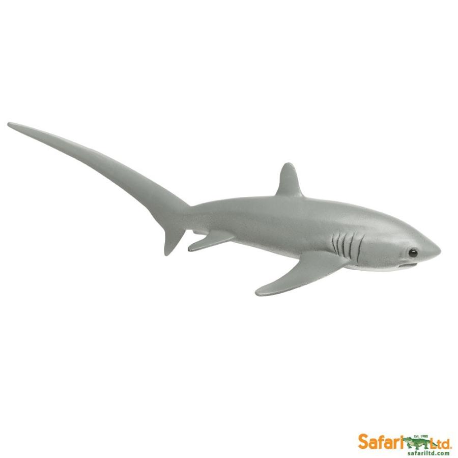 サファリ フィギュア オナガザメ 0229 サメ さめ レプリカ 0229 サファリフィギュア専門店 Navys 通販 Yahoo ショッピング