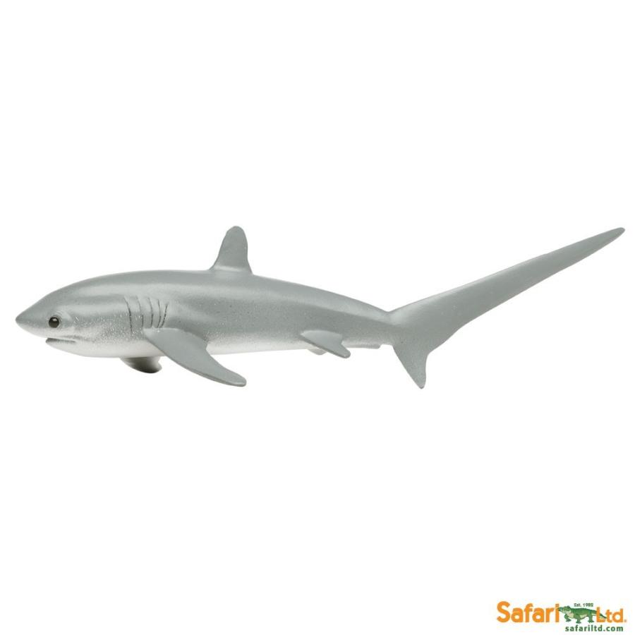 サファリ フィギュア オナガザメ 0229 サメ さめ レプリカ 0229 サファリフィギュア専門店 Navys 通販 Yahoo ショッピング