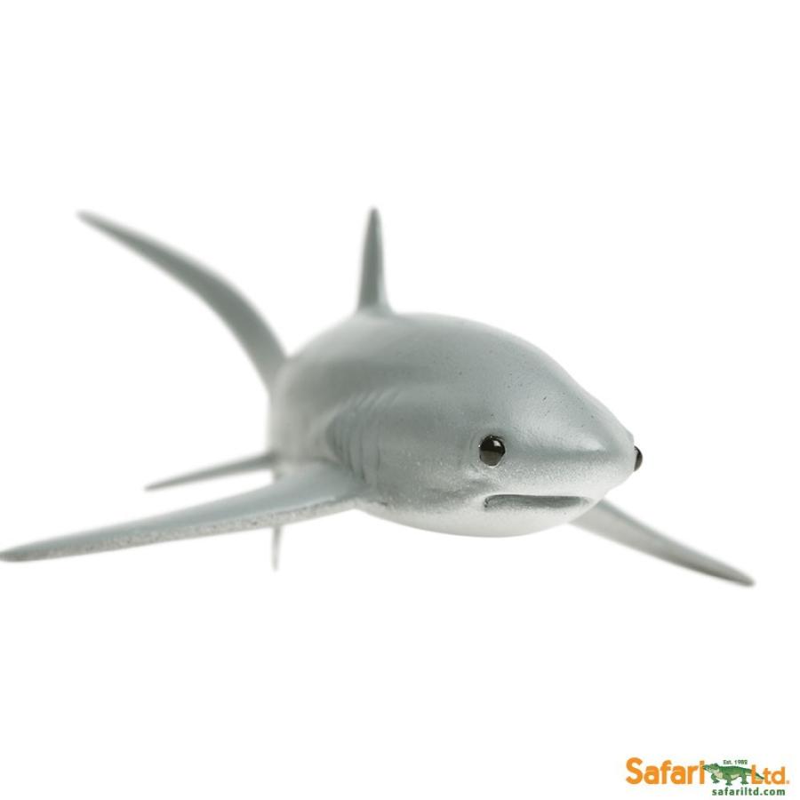 サファリ フィギュア オナガザメ 0229 サメ さめ レプリカ 0229 サファリフィギュア専門店 Navys 通販 Yahoo ショッピング