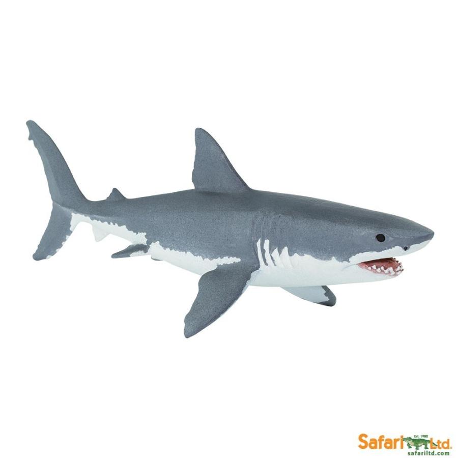 サファリ フィギュア ホホジロザメ Ii 0729 ホオジロザメ サメ レプリカ 0729 サファリフィギュア専門店 Navys 通販 Yahoo ショッピング