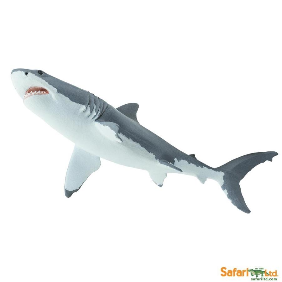 サファリ　フィギュア　ホホジロザメ　II　200729　ホオジロザメ　サメ　レプリカ｜navys｜02