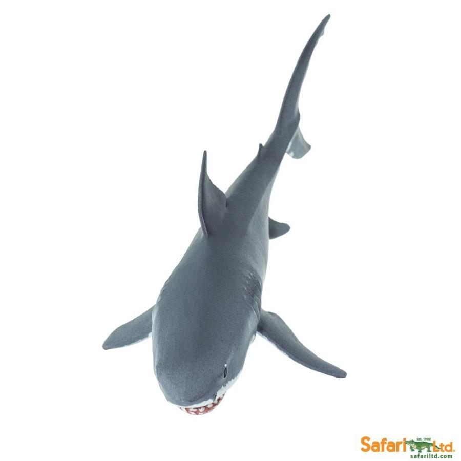 サファリ レプリカ ホオジロザメ Amazon.co.jp: サファリ レプリカ ホオジロザメ : Toys & Games