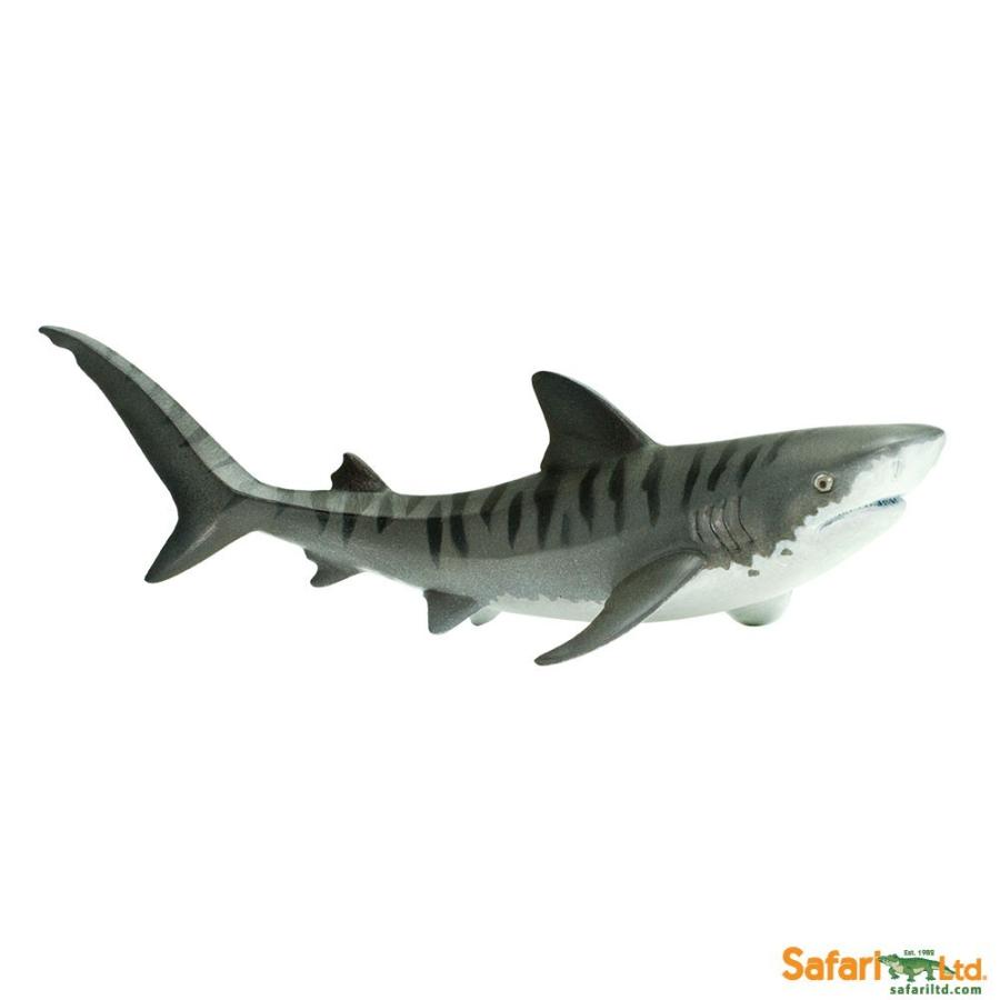 サファリ フィギュア タイガーシャーク 2229 2229 サファリフィギュア専門店 Navys 通販 Yahoo ショッピング