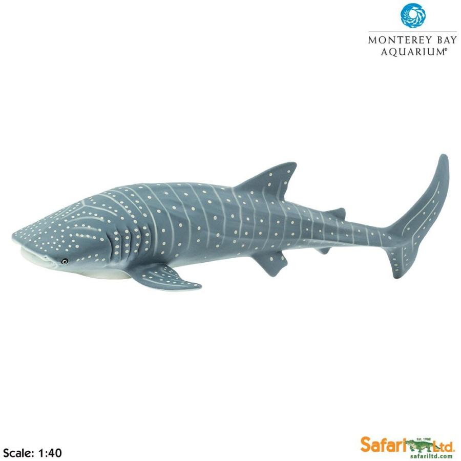 サファリ MB ジンベエザメ フィギュア モントレーベイ・アクアリウム