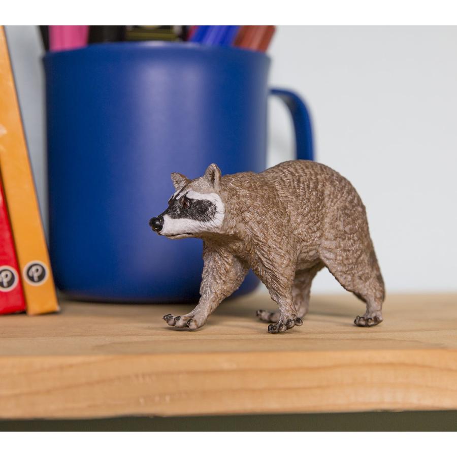 サファリ アライグマ 動物 フィギュア サファリフィギュア専門店 Navys 通販 Yahoo ショッピング