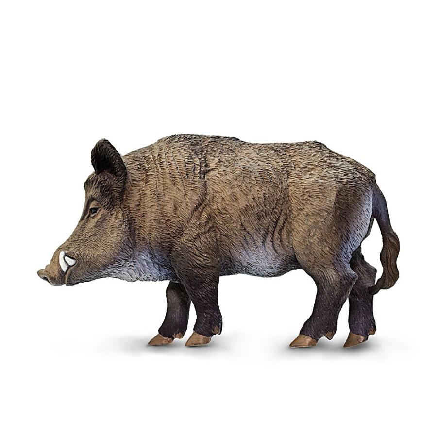 サファリ イノシシ 動物 フィギュア サファリフィギュア専門店 Navys 通販 Yahoo ショッピング