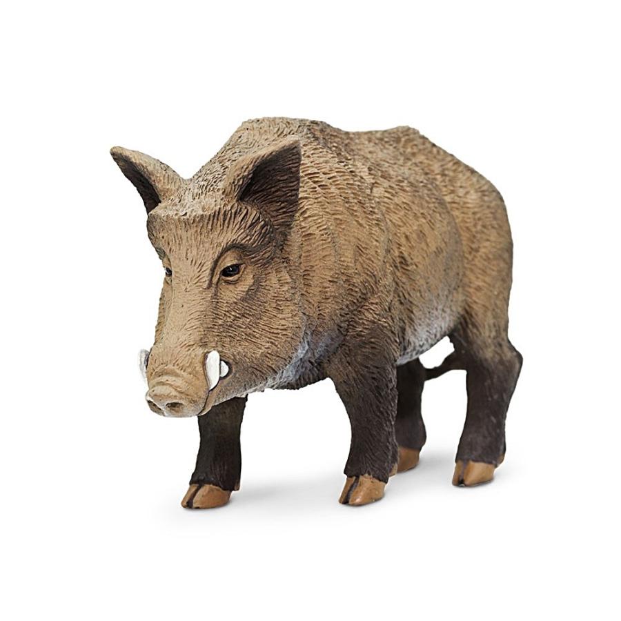サファリ イノシシ 動物 フィギュア サファリフィギュア専門店 Navys 通販 Yahoo ショッピング